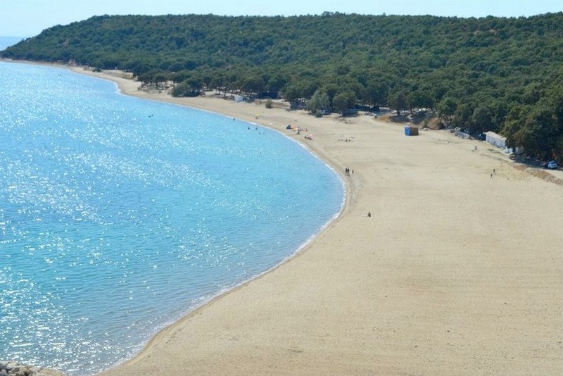 DanişmentOrmanKampı 1