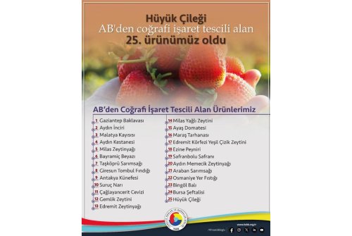 Avrupa Birliği’nden Coğrafi İşaret Tescili Alan 25. Ürünümüz Hüyük Çileği Oldu