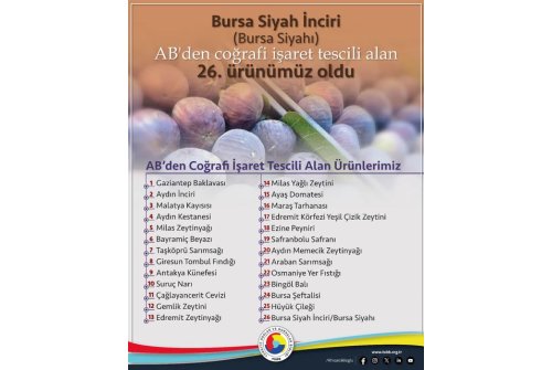 Avrupa Birliği’nden Coğrafi İşaret Tescili Alan 26. Ürünümüz Bursa Siyah İ̇nciri/bursa Siyahı Oldu.
