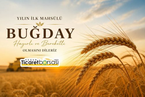 Duyuru Yılın İ̇lk Ürünü Buğday'In Salon Satışı 16.06.2026 Salı Günü (Yarın) Saat 11:00 Da Borsamız Hi̇zmet Bi̇nasında Yapılacaktır.