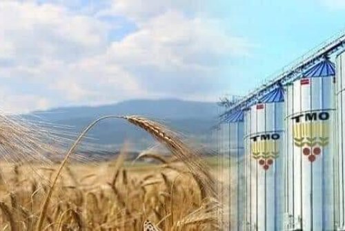 Hububat, Baklagiller Ve Yağlı Tohumlar Lisanslı Depo Tebliğinin 14 Üncü Maddesinde Yapılan Değişiklik İle