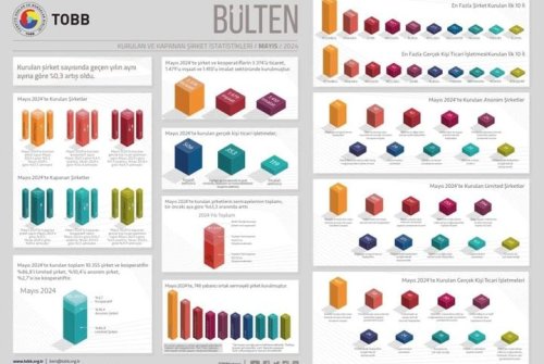 Kurulan Şirket Sayısında Geçen Yılın Aynı Ayına Göre %0,3 Artış Oldu.