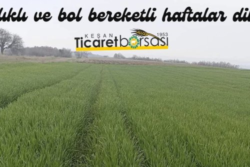 Sağlıklı Ve Bol Bereketli Haftalar Dileriz. Keşan Ticaret Borsası Meclisi