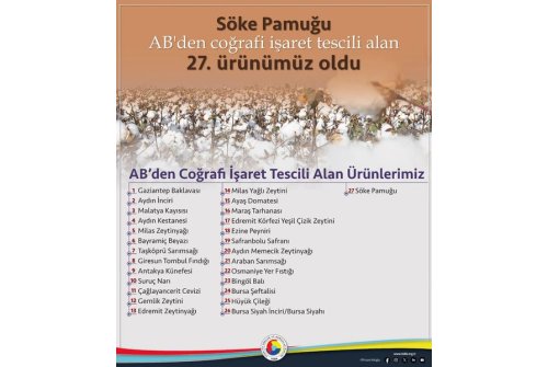 Söke Pamuğu, Avrupa Birliği’nden Coğrafi İşaret Tescili Alan 27. Ürünümüz Oldu.